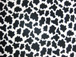 20 Black and white cow pattern.JPG